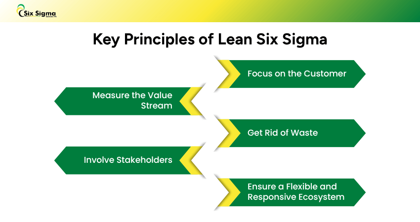 Key Six Sigma Principles: Benefits and Methodology