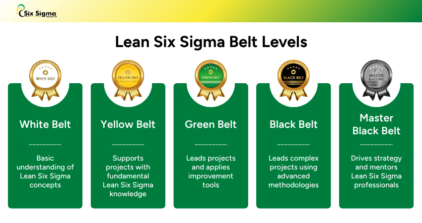 Lean Six Sigma Belt Levels Explained: Roles and Responsibilities