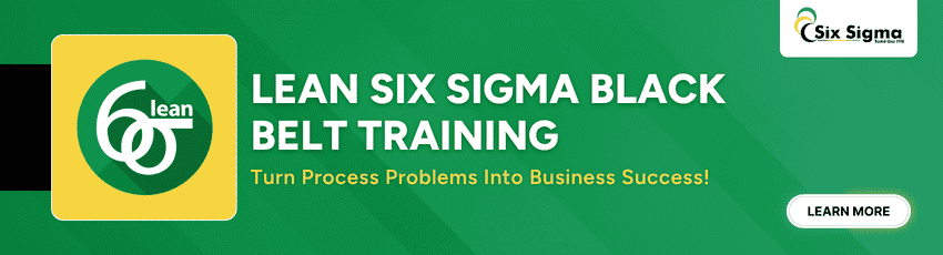Best Lean Six Sigma Black Belt Training for Professionals