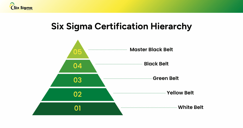 Six Sigma Hierarchy