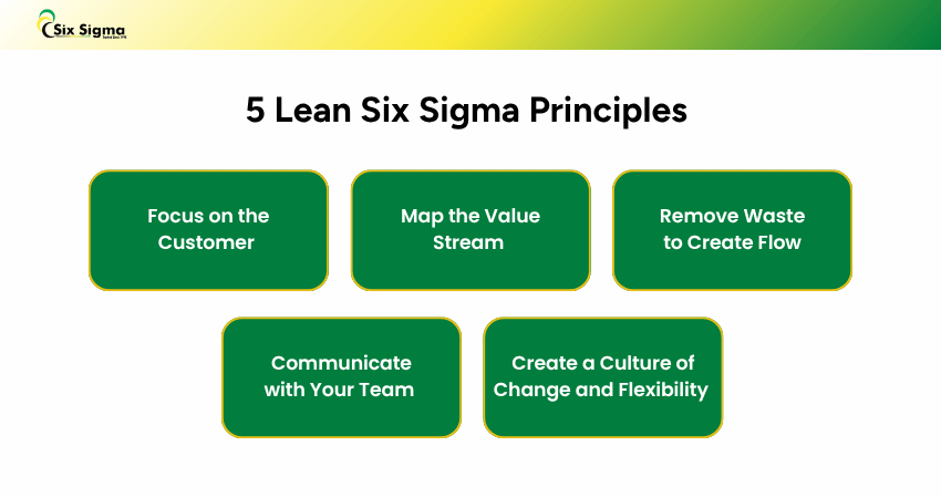 5 Lean Six Sigma Principles Lean Six Sigma Principles