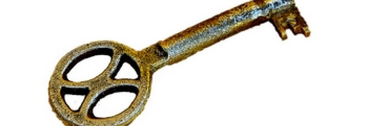 The Quest For Idealism And Lean Six Sigma