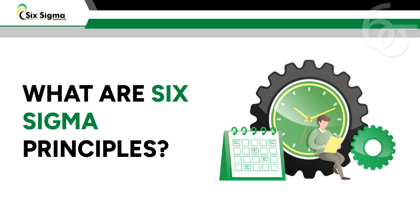 Six Sigma Principles: A Complete Guide to Business Excellence